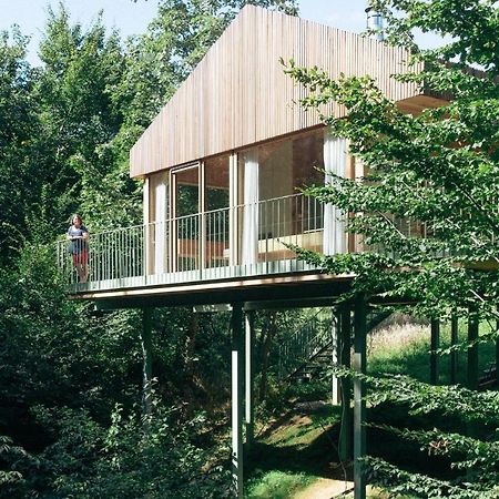Baumhaus Buchengruen Apartment Dobl-Zwaring Bagian luar foto